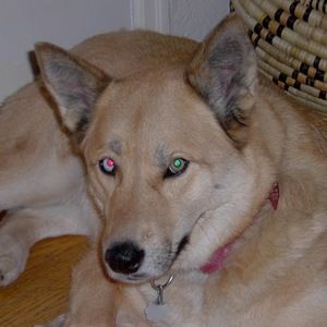 Meet your Posher, Deanna